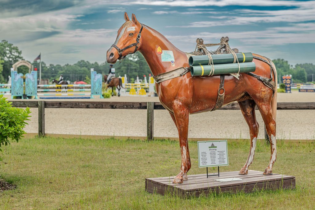 Sergeant Reckless WHES Veteran Award