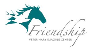 friendship_imaging