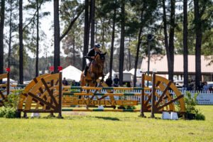 Boyd Martin Miks Master C-05265