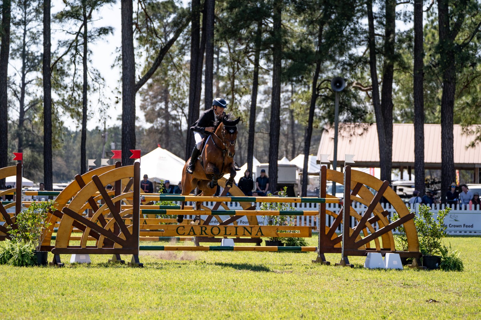 Boyd Martin Miks Master C-05265